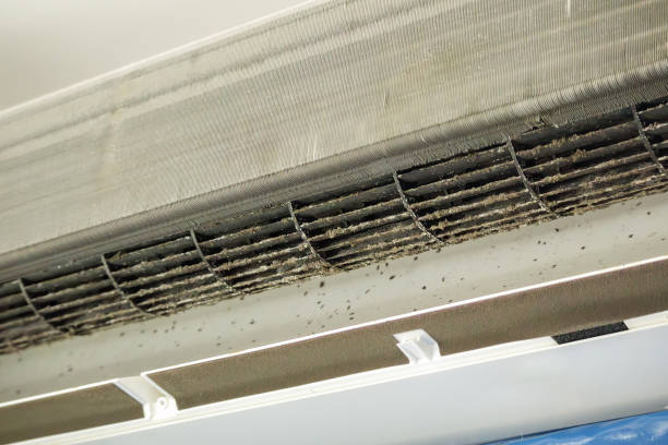 Best Best Air Duct Cleaning Company  in Nisswa, MN